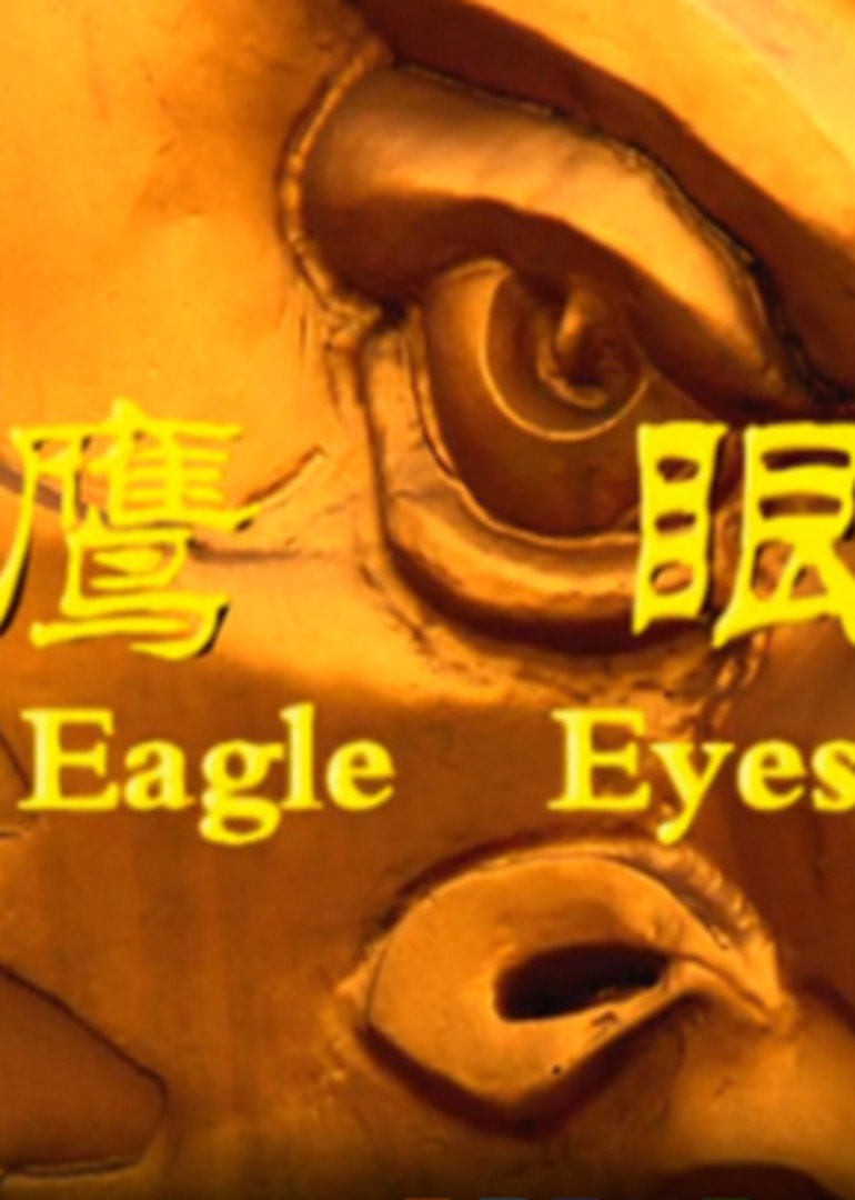 鹰眼2009海报剧照