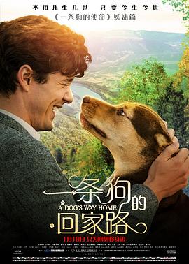 一条狗的回家路（国语版）海报剧照