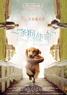 一条狗的使命（国语版）海报剧照