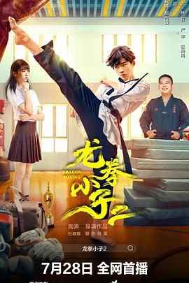 龙拳小子2海报剧照