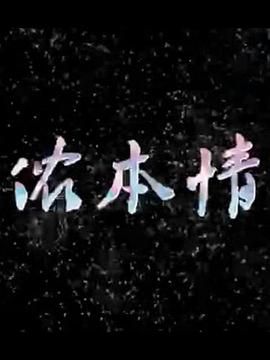 侬本情海报剧照