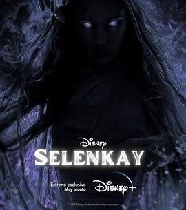 Selenkay海报剧照