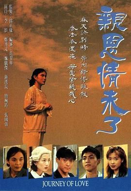 亲恩情未了海报剧照