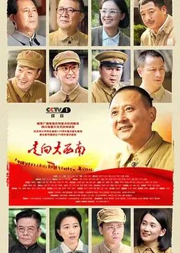 走向大西南海报剧照