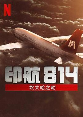 印航814 坎大哈之劫海报剧照