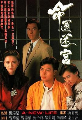命运迷宫粤语版海报剧照