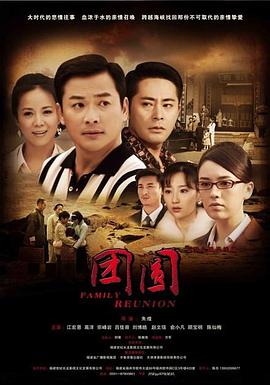 团圆 2010海报剧照