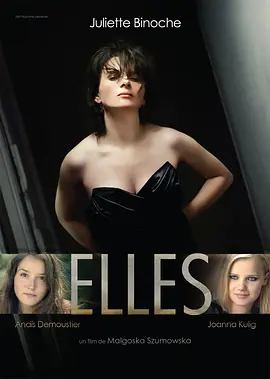 她们 Elles海报剧照