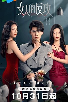 女人的反攻海报剧照