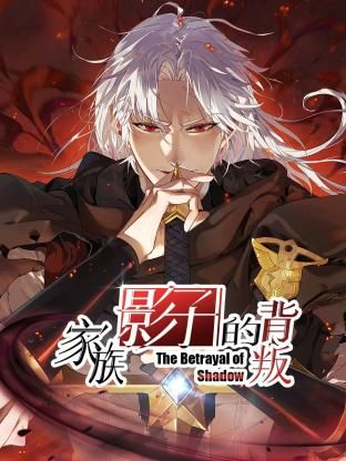 家族影子的背叛海报剧照