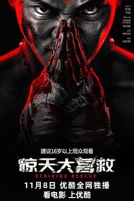 惊天大营救海报剧照