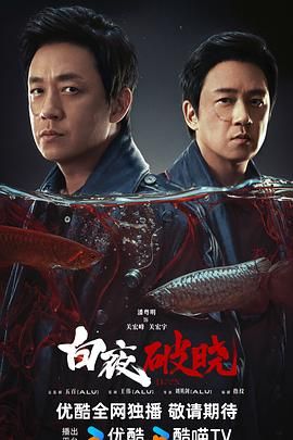 白夜破晓海报剧照