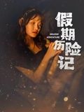 假期历险记海报剧照