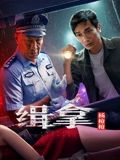 缉拿杨枪枪海报剧照