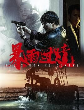 暴雨过境海报剧照