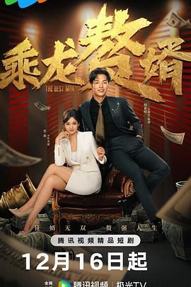 乘龙赘婿海报剧照