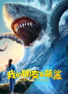 我的朋友是萌鲨海报剧照