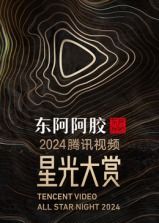 2024腾讯视频星光大赏海报剧照
