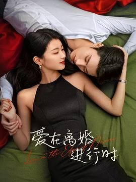 爱在离婚进行时海报剧照