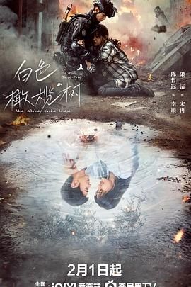 白色橄榄树海报剧照