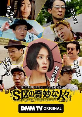 S区的奇妙的人们海报剧照