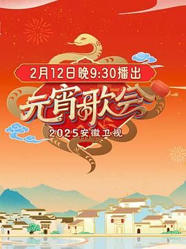 2025安徽卫视元宵晚会海报剧照