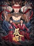 展昭·探案海报剧照