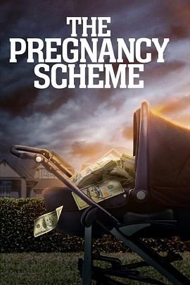 The Pregnancy Scheme海报剧照
