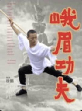 峨眉功夫海报剧照