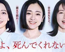 老公啊，你能去死吗海报剧照