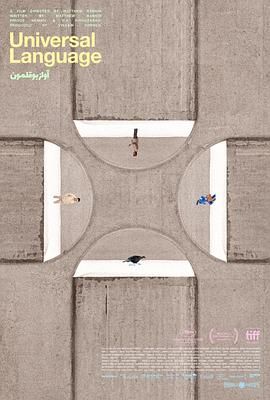 共同的语言海报剧照