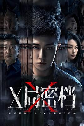 X局密档海报剧照
