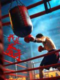我是拳手海报剧照