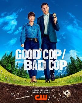 好警察/坏警察海报剧照