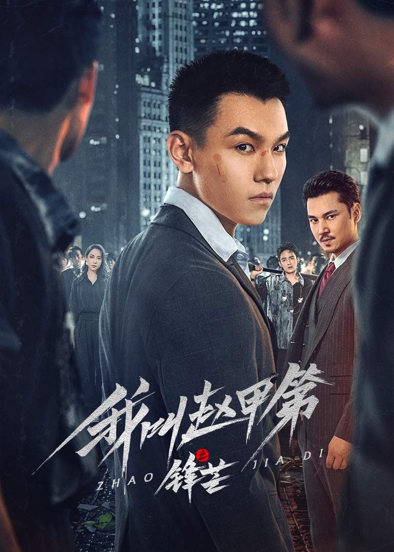 我叫赵甲第之锋芒海报剧照