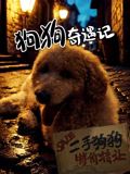 狗狗奇遇记海报剧照