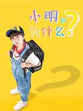 小明的为什么海报剧照