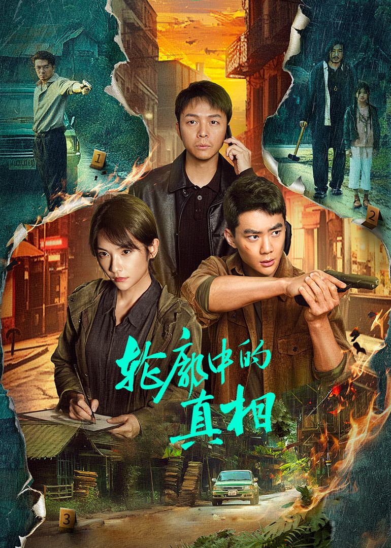 轮廓中的真相海报剧照