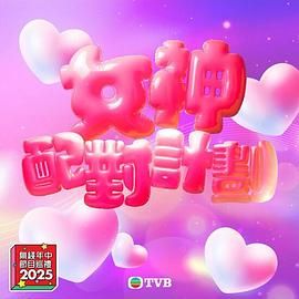 女神配对计划海报剧照