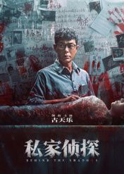 私家侦探海报剧照