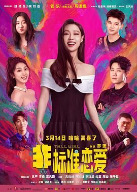 非标准恋爱海报剧照