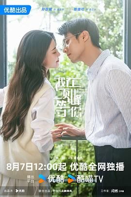 我在顶峰等你海报剧照