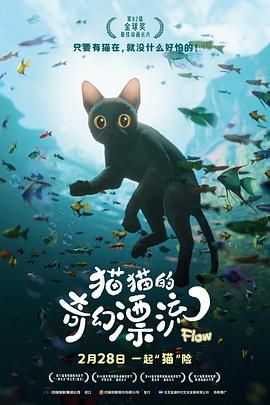 猫猫的奇幻漂流海报剧照