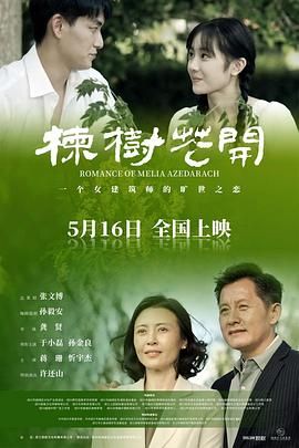 楝树花开海报剧照