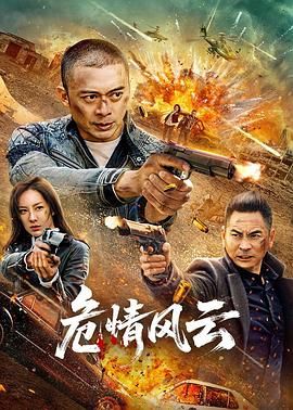 危情风云海报剧照
