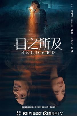 目之所及海报剧照