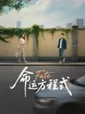 命运方程式海报剧照