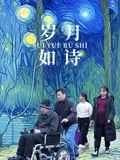 岁月如诗海报剧照