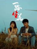 一路“生”花海报剧照