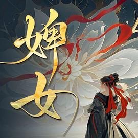 婢女海报剧照